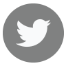 twitter icon
